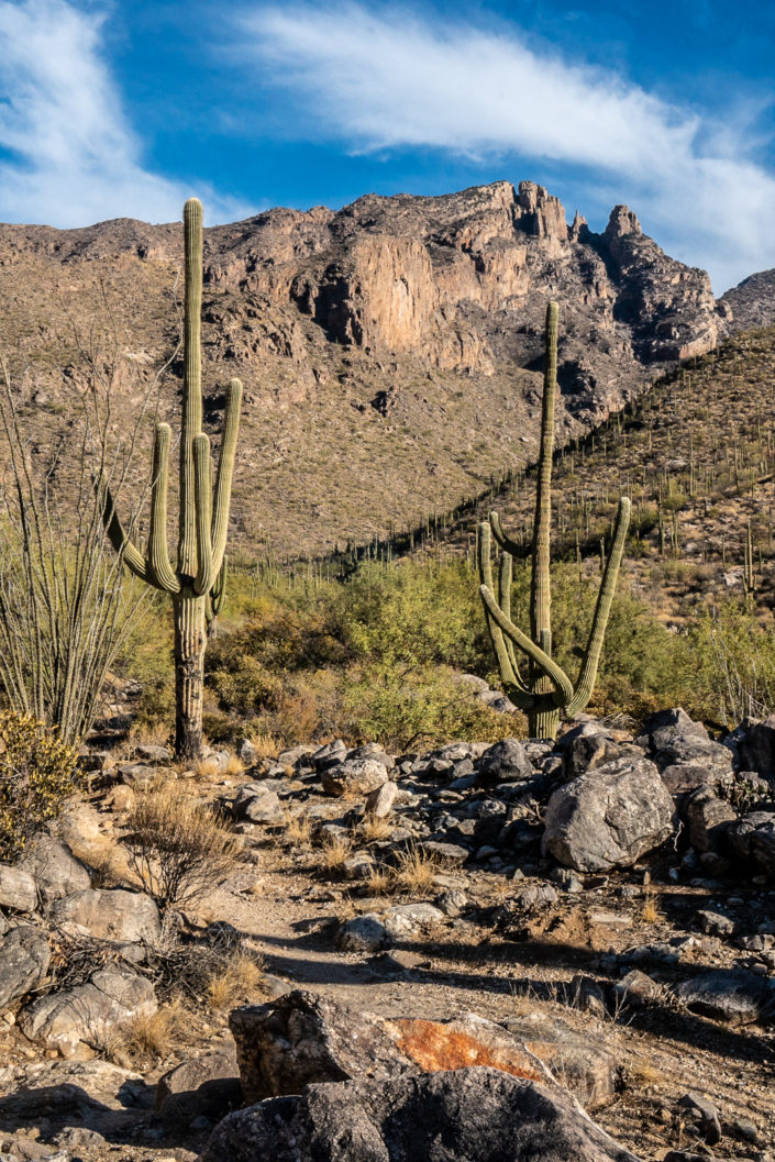 Hiking to finger rock shot on Sony A6500