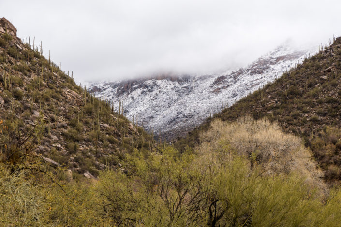 Sabino Canyon with snow shot on Sony A6500