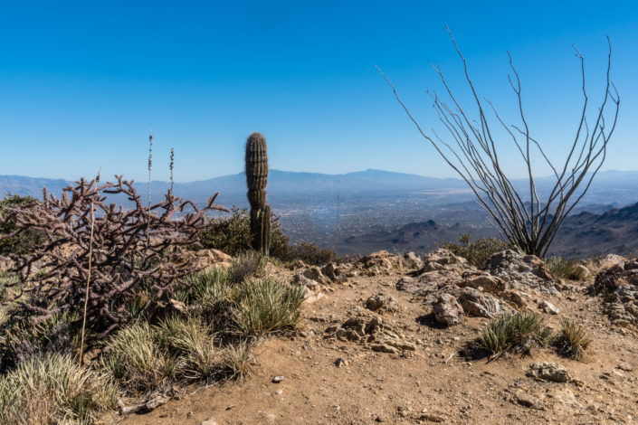 hiking in tucson shot on Sony A6500